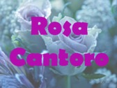 Rosa Cantoro